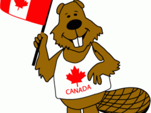 Канадский бобр – неофициальный символ Канады. Какой зверь является официальным символом Канады