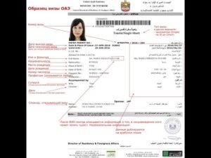В эмираты нужна виза. Как гражданам россии самостоятельно получить визу в оаэ