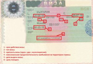 В болгарию нужна шенгенская виза. Нужна ли россиянам виза для отдыха в Болгарии, способы и сроки её оформления