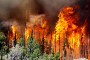 Наибольшее количество природных пожаров происходит. Природные пожары
