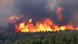 Наибольшее количество природных пожаров происходит. Природные пожары