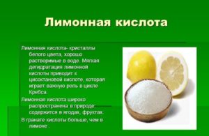 Кислота лимонная сухая. Лимонная кислота - польза и вред