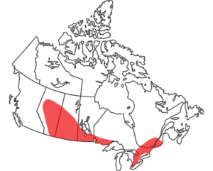 Контурная карта канады. Карта канады с городами