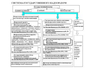 Виды и функции контроля. Контрольно-надзорные органы РФ: список, права, полномочия и особенности