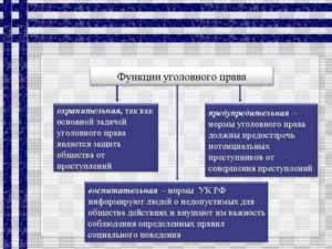 В чем заключается превентивная функция уголовного права. Раздел I