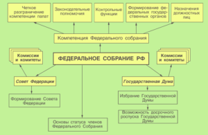 Высшие представительные органы государственной власти. Высший представительный и законодательный орган РФ