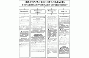 Функции органов государственной власти рф таблица егэ. Органы государственной власти в россии