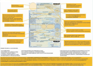 Первичный и дубликат больничного листа. Заявление на дубликат больничного листа