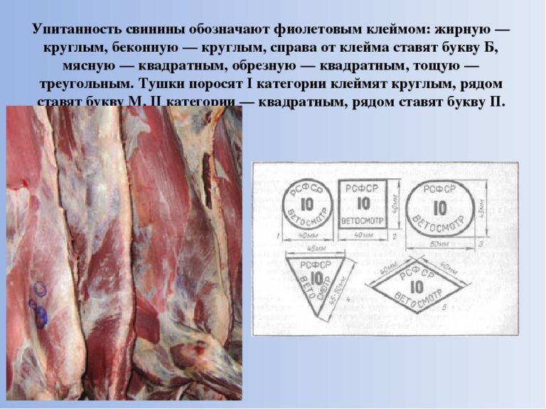 Клеймение мяса свинины. Классификация мяса