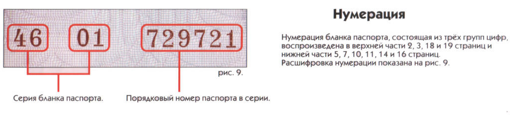 Адрес по серии и номеру паспорта. Как можно узнать владельца по его номеру паспорта