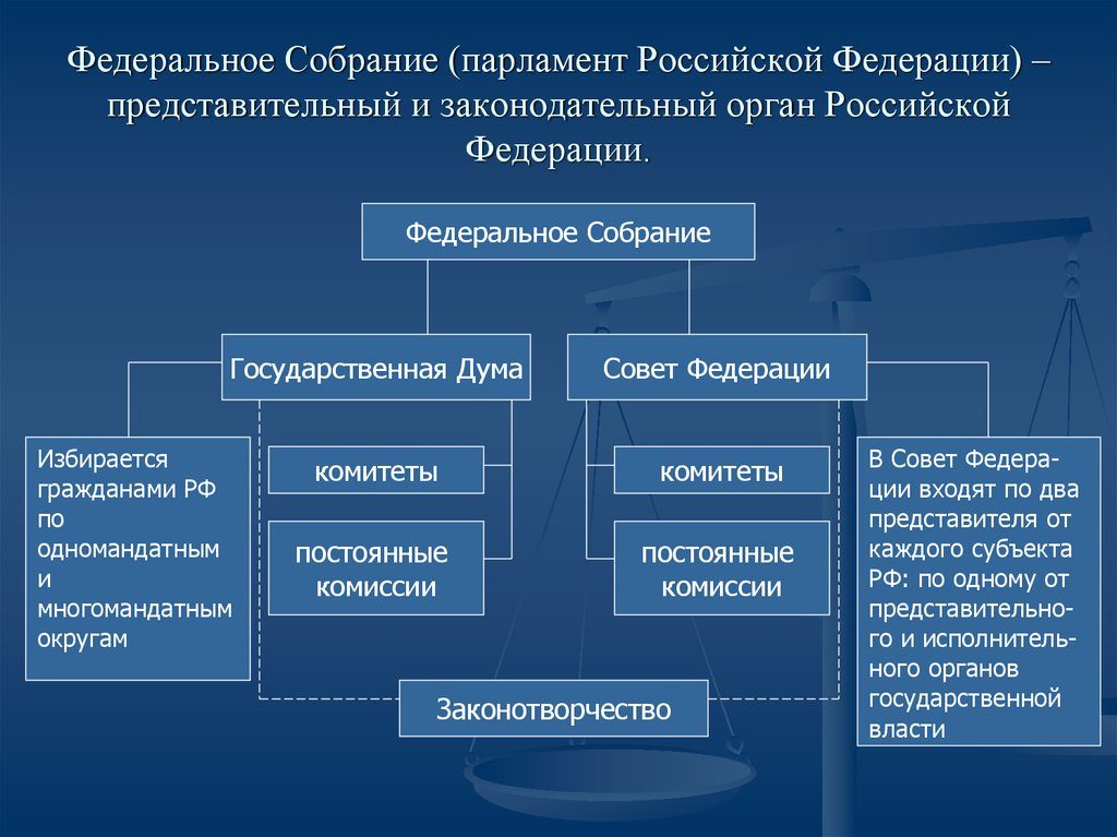 Высшие представительные органы государственной власти. Высший представительный и законодательный орган РФ